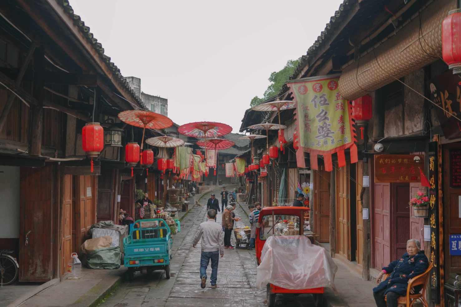 丛林森林逃生
